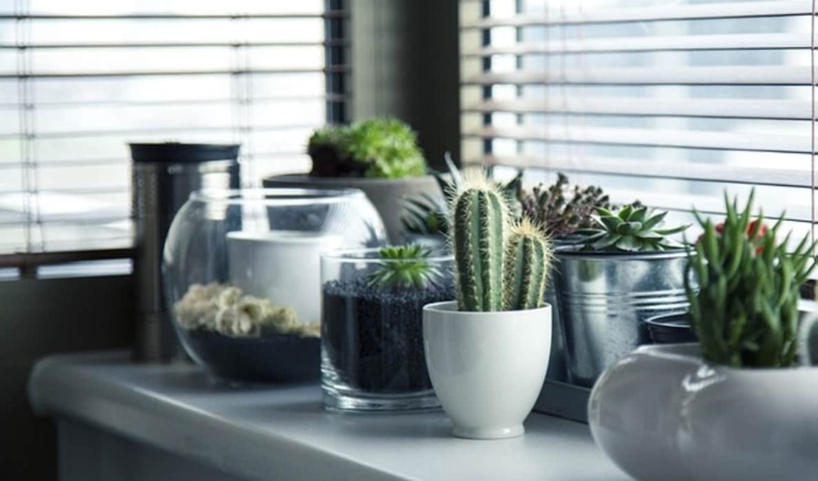 bien-être et confort à la maison bien-être et confort à la maison