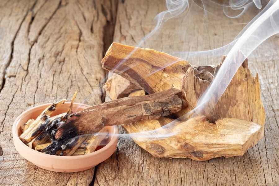 Rituel de purification au palo santo et sens du sacré Bois de palo santo fumant dans une coupelle pour rituel de purification